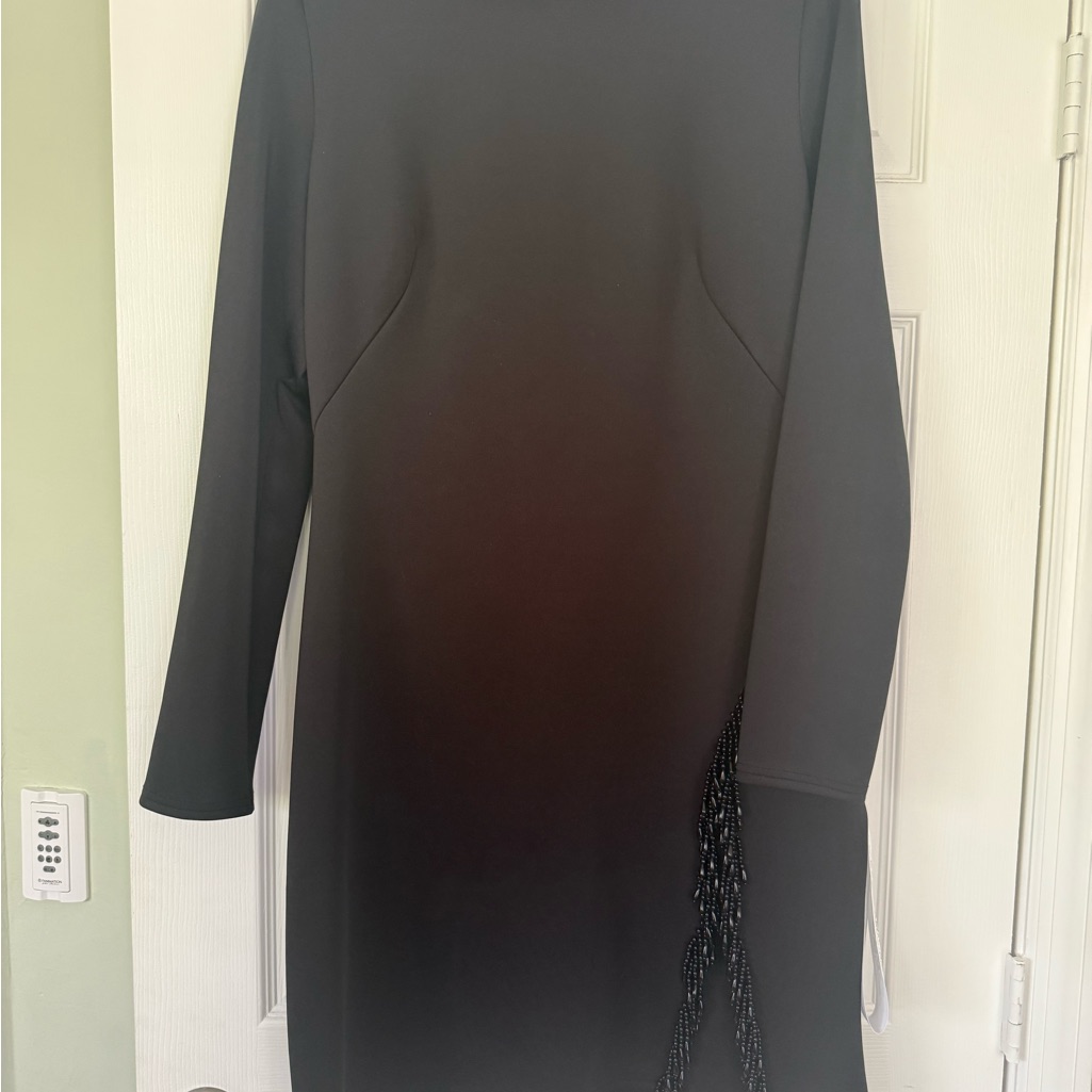 Sho Elegant Black Long-Sleeve Dress With Side Bead Accent